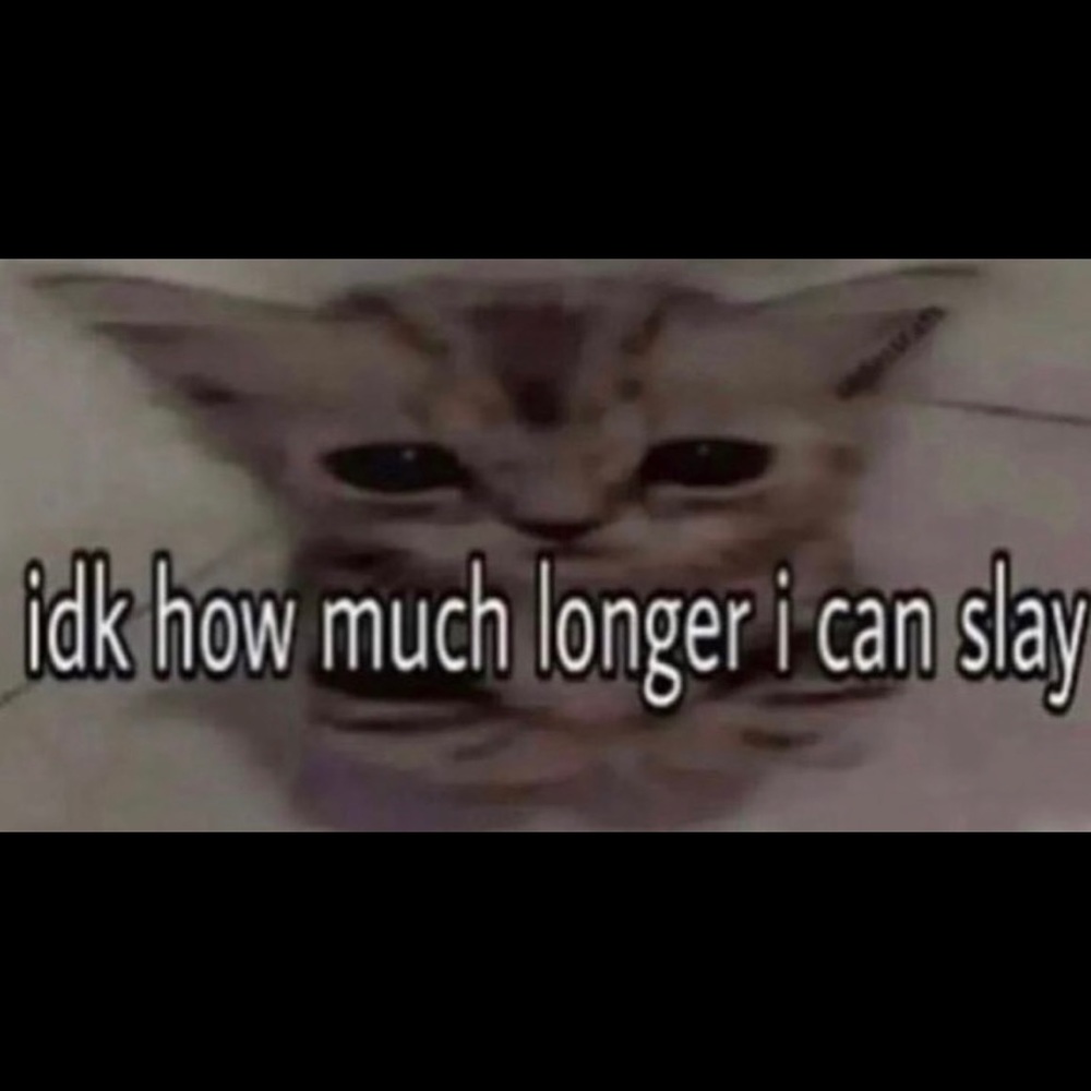 Meet your Posher, Ericca